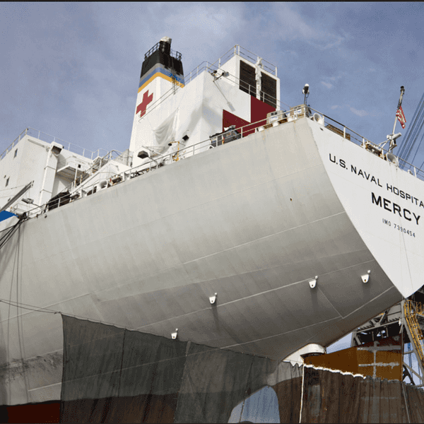 Hey Trump! Greenland Doesn't Need Our Hospital Ship, But Louisiana Surely Does