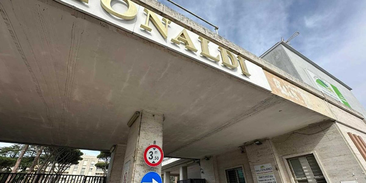 ci sono altre morti sospette tra i piccoli l8217indagine sul sistema monaldi s8217allarga da Laverita.info ci sono altre morti sospette tra i piccoli l8217indagine sul sistema monaldi s8217allarga