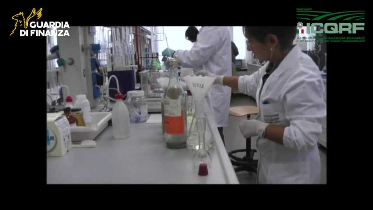 Operazione «Vinum Mentitum»: la GdF sequestra 2,5 milioni di litri di vino contraffatto