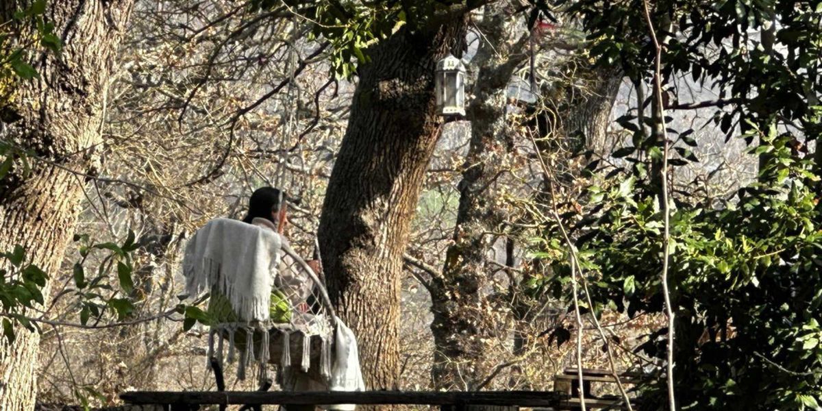 i funghi il sondino la madre ribelle le bufale per denigrare i trevallion