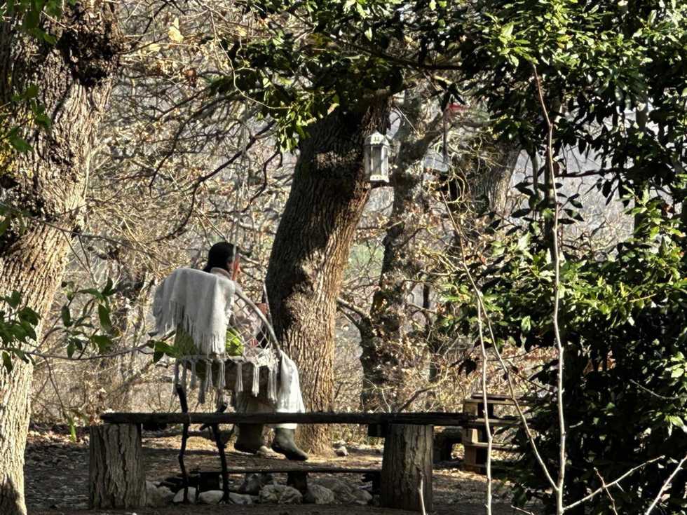 I funghi, il sondino, la madre ribelle. Le bufale per denigrare i Trevallion