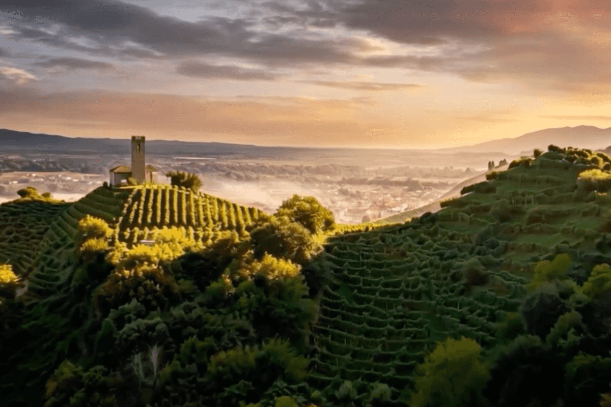 Storia, bollicine e visione del futuro: Valdo festeggia 100 anni