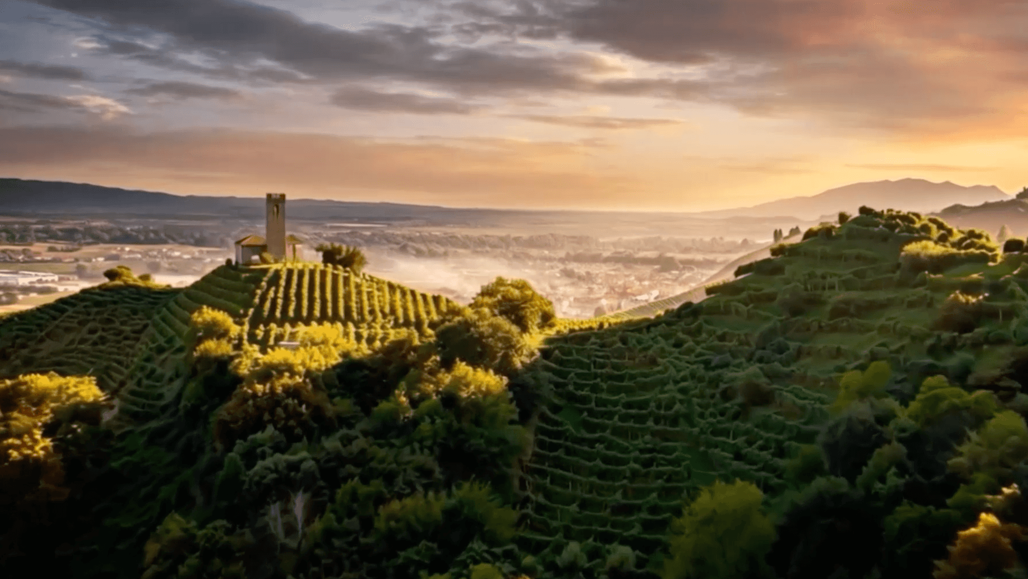 Storia, bollicine e visione del futuro: Valdo festeggia 100 anni
