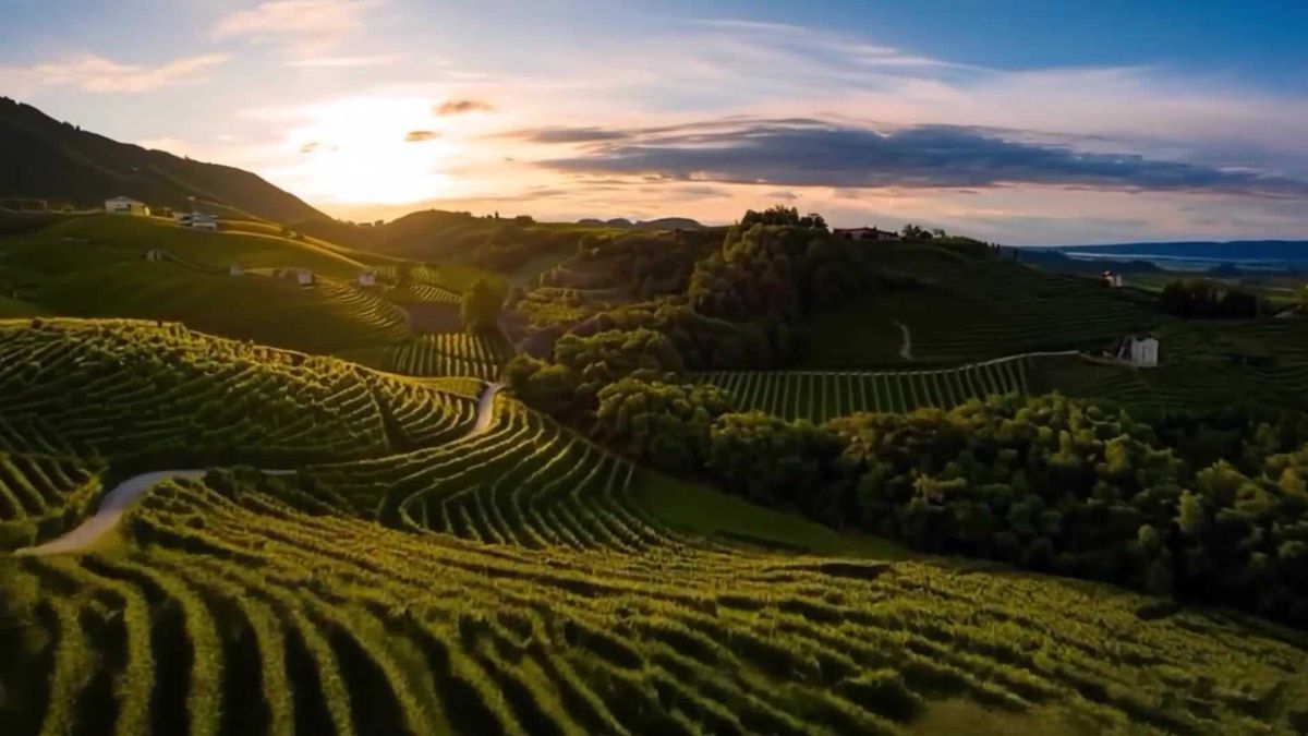 Storia, bollicine e visione del futuro: Valdo festeggia 100 anni