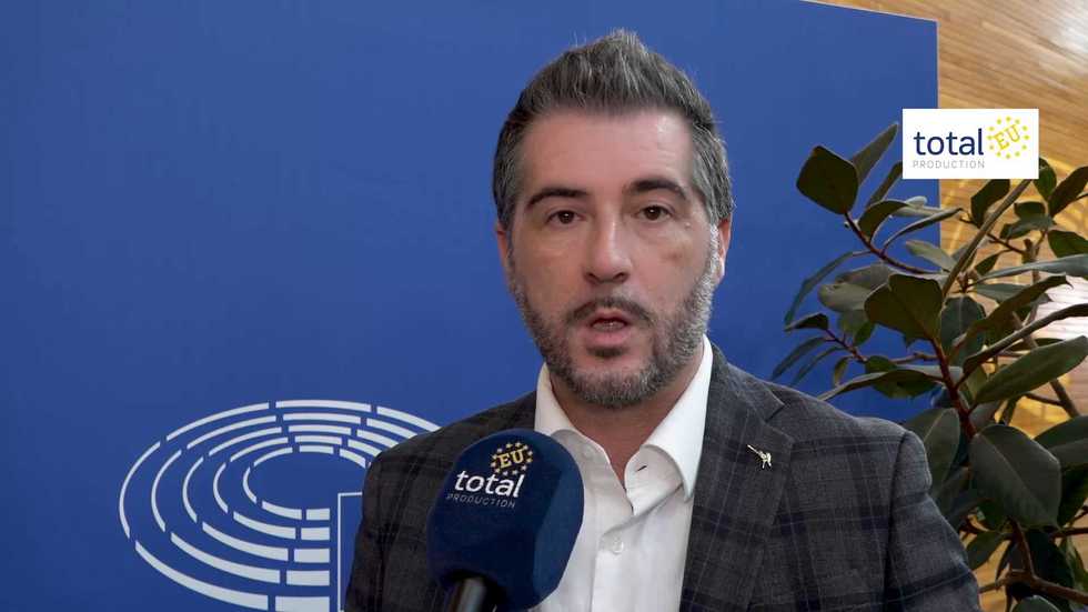 Energia, Borchia: «Nucleare e rinnovabili non bastano per soddisfare le manifatture europee»