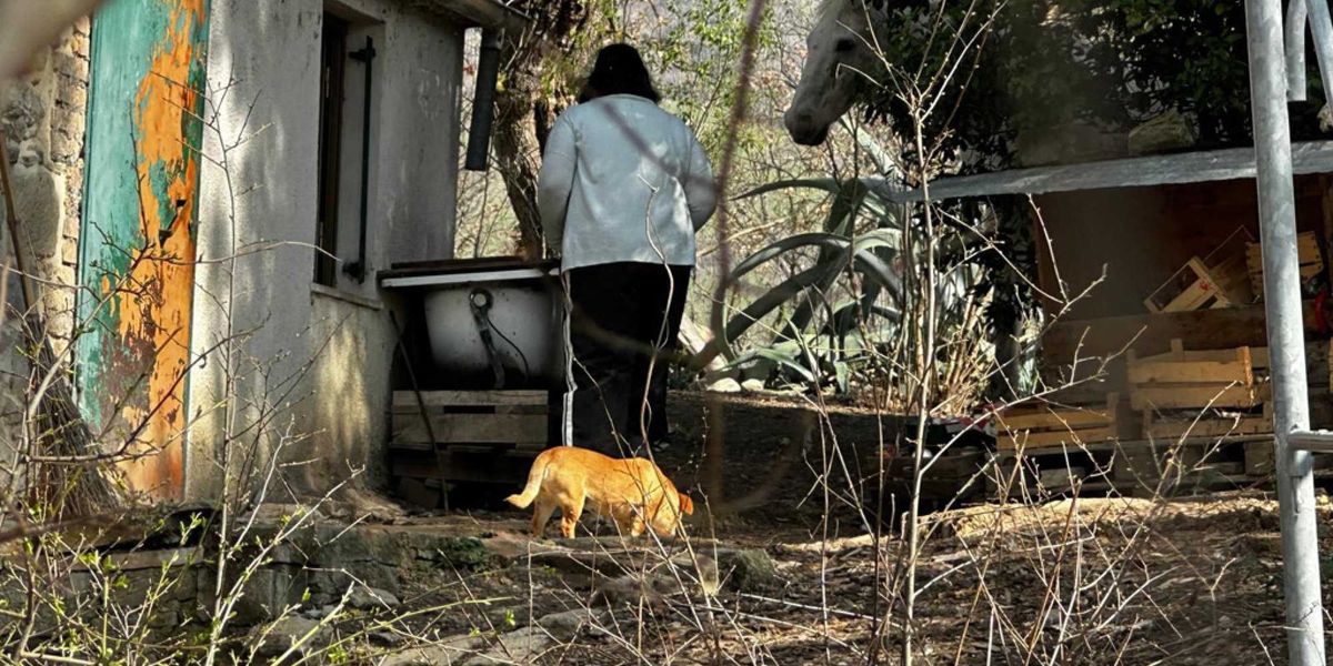 l8217assistente sociale ora va all8217attacco e fa causa ai legali dei bambini del bosco da Laverita.info l8217assistente sociale ora va all8217attacco e fa causa ai legali dei bambini del bosco