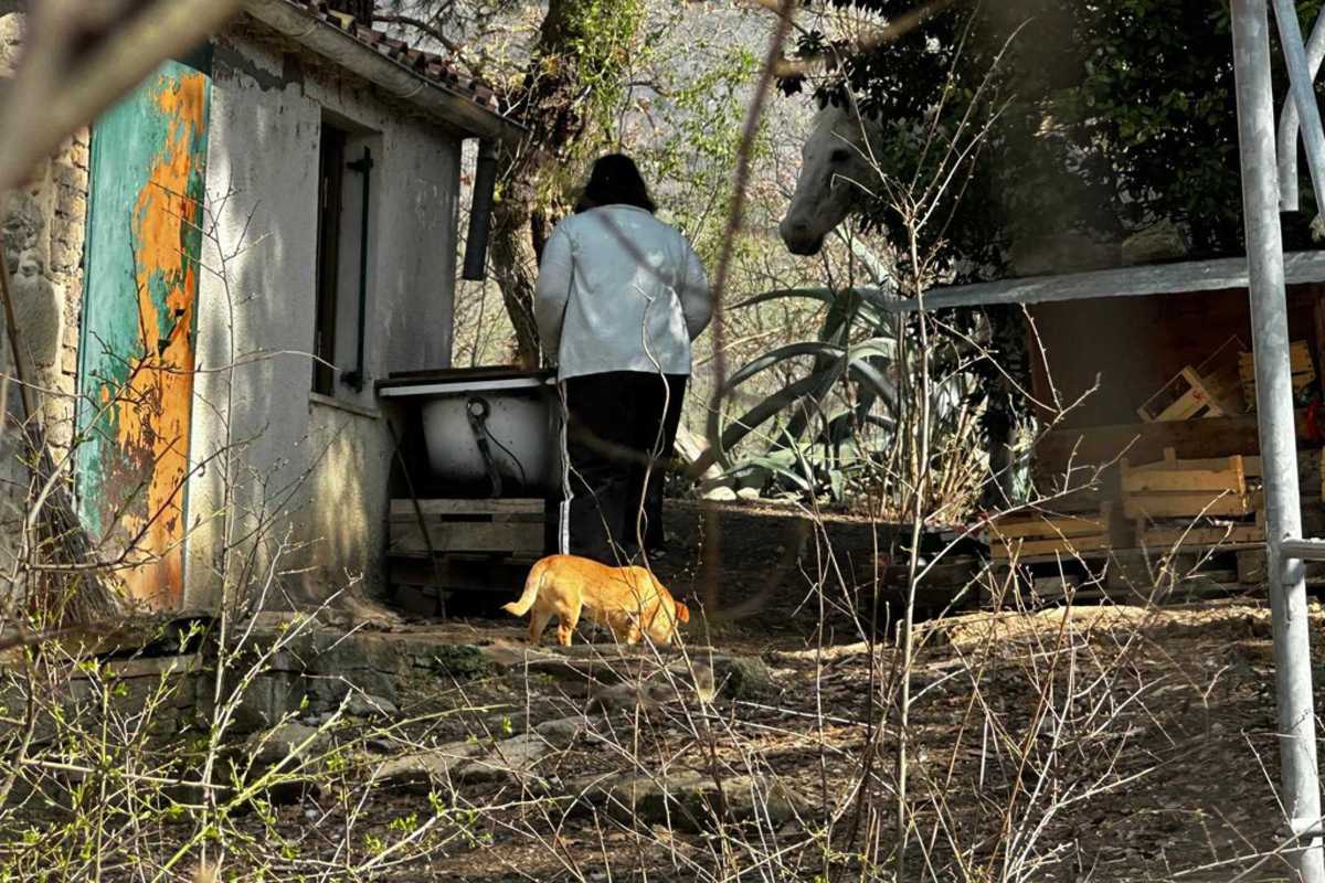 L’assistente sociale ora va all’attacco e fa causa ai legali dei bambini del bosco