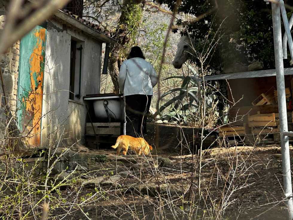 L’assistente sociale ora va all’attacco e fa causa ai legali dei bambini del bosco