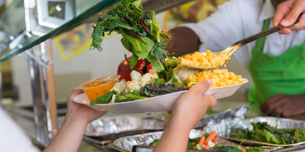 mense scolastiche in difficolt224 prezzi da adeguare all8217inflazione da Laverita.info mense scolastiche in difficolt224 prezzi da adeguare all8217inflazione