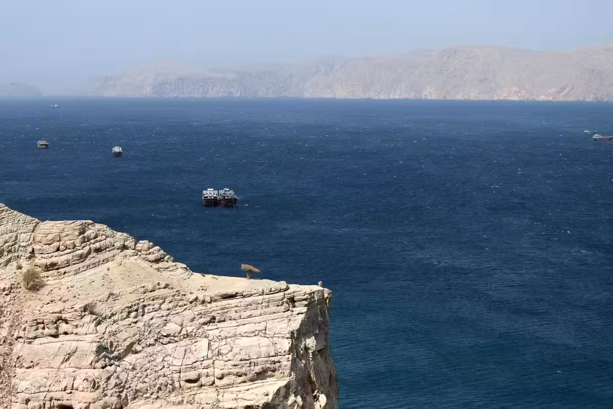 I raid Usa su Hormuz «svegliano» 22 alleati