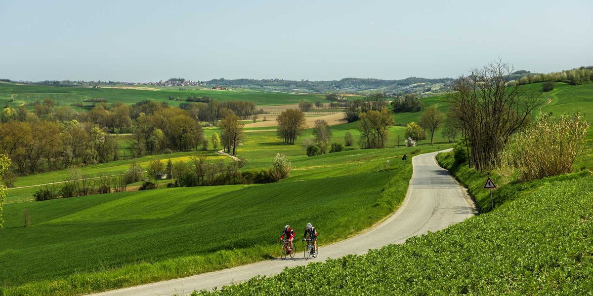 inseguendo coppi lungo il monferrato tra cantine e dolci che sono una favola da Laverita.info inseguendo coppi lungo il monferrato tra cantine e dolci che sono una favola