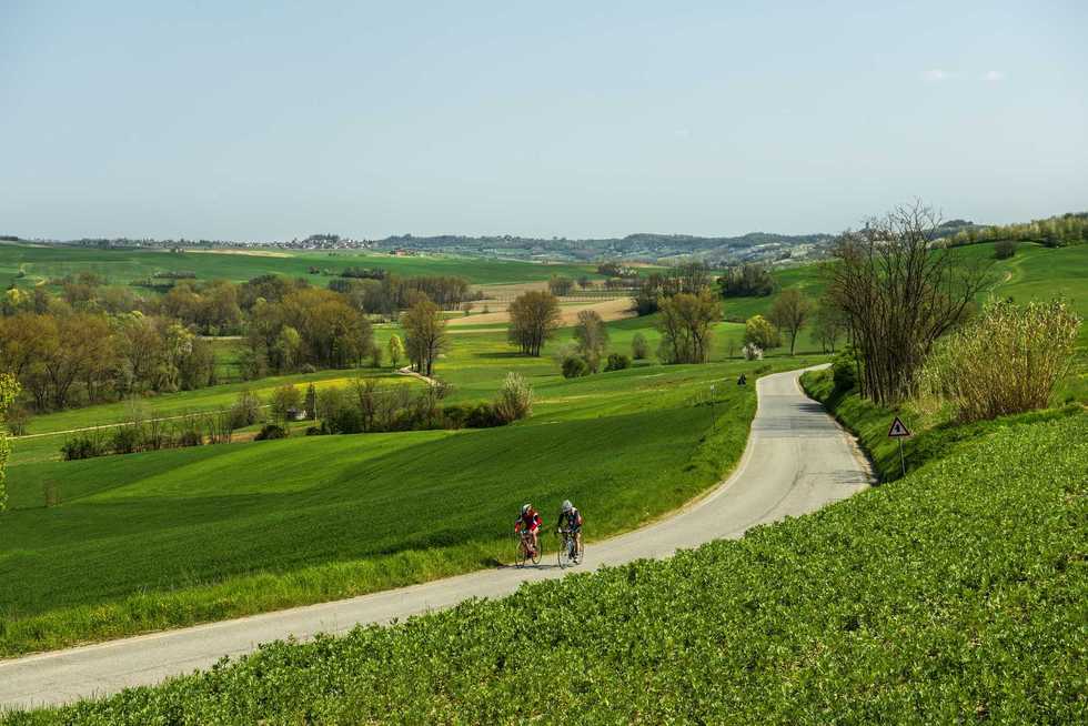 Inseguendo Coppi lungo il Monferrato. Tra cantine e dolci che sono una favola