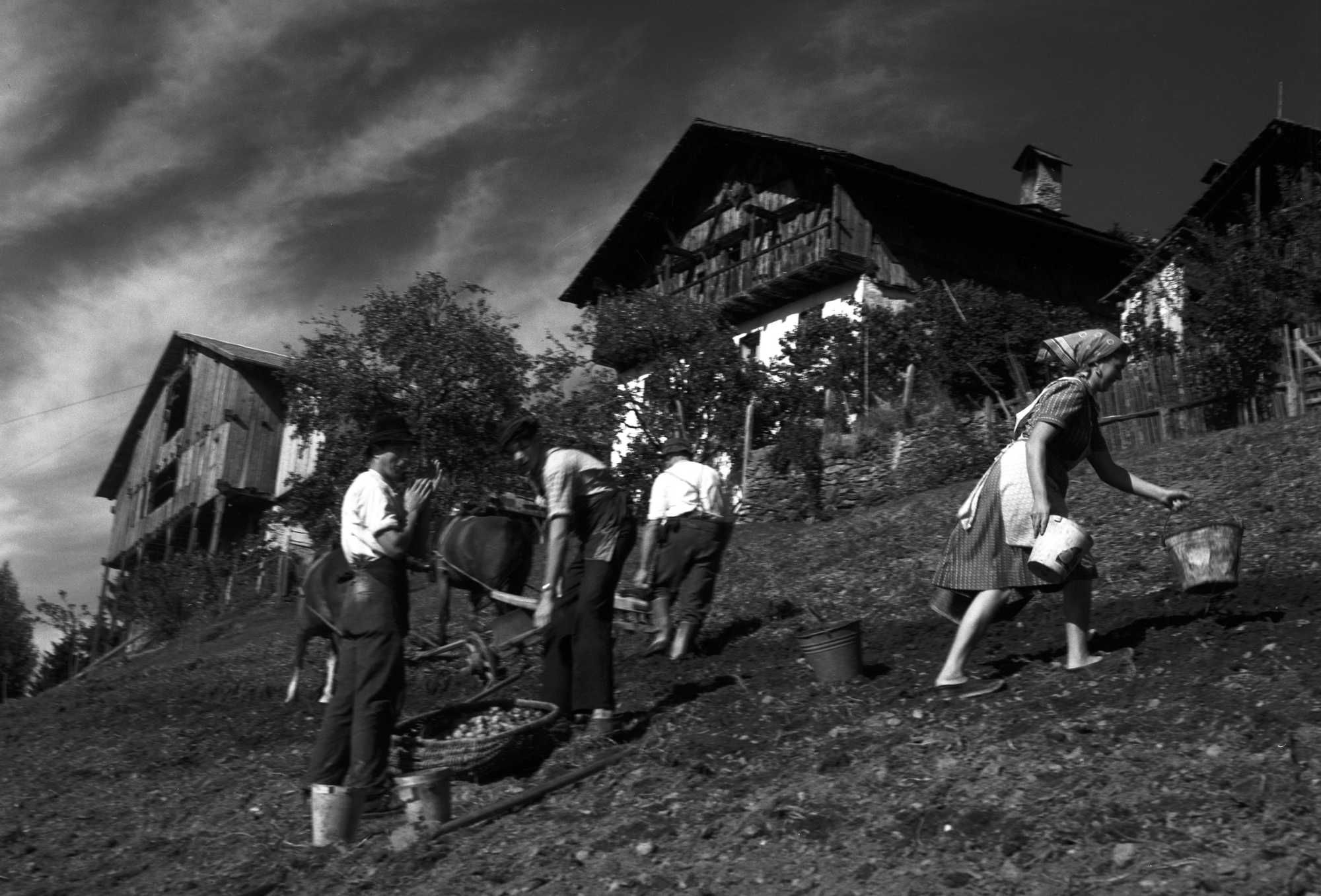 1946: «l'anno zero» dell'Alto Adige