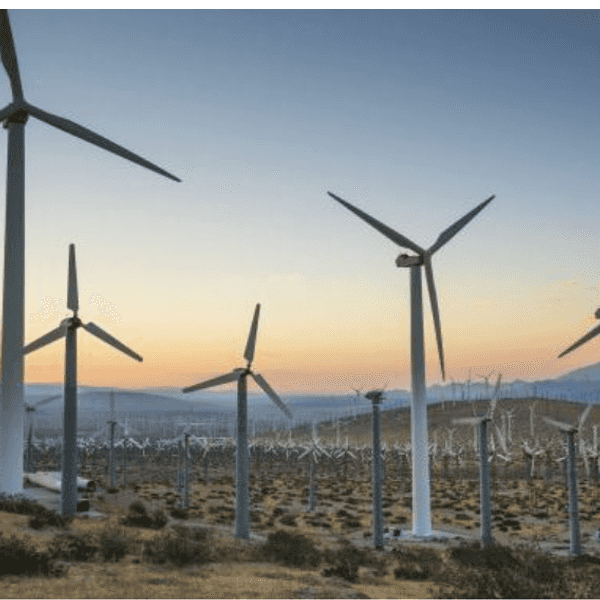 Orange Man Goes Green? How Trump's Attack On Iran Is Advancing Clean Energy