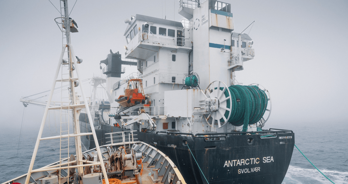 'David-and-Goliath': Ocean Defenders Collide With Industrial Krill Trawler ...