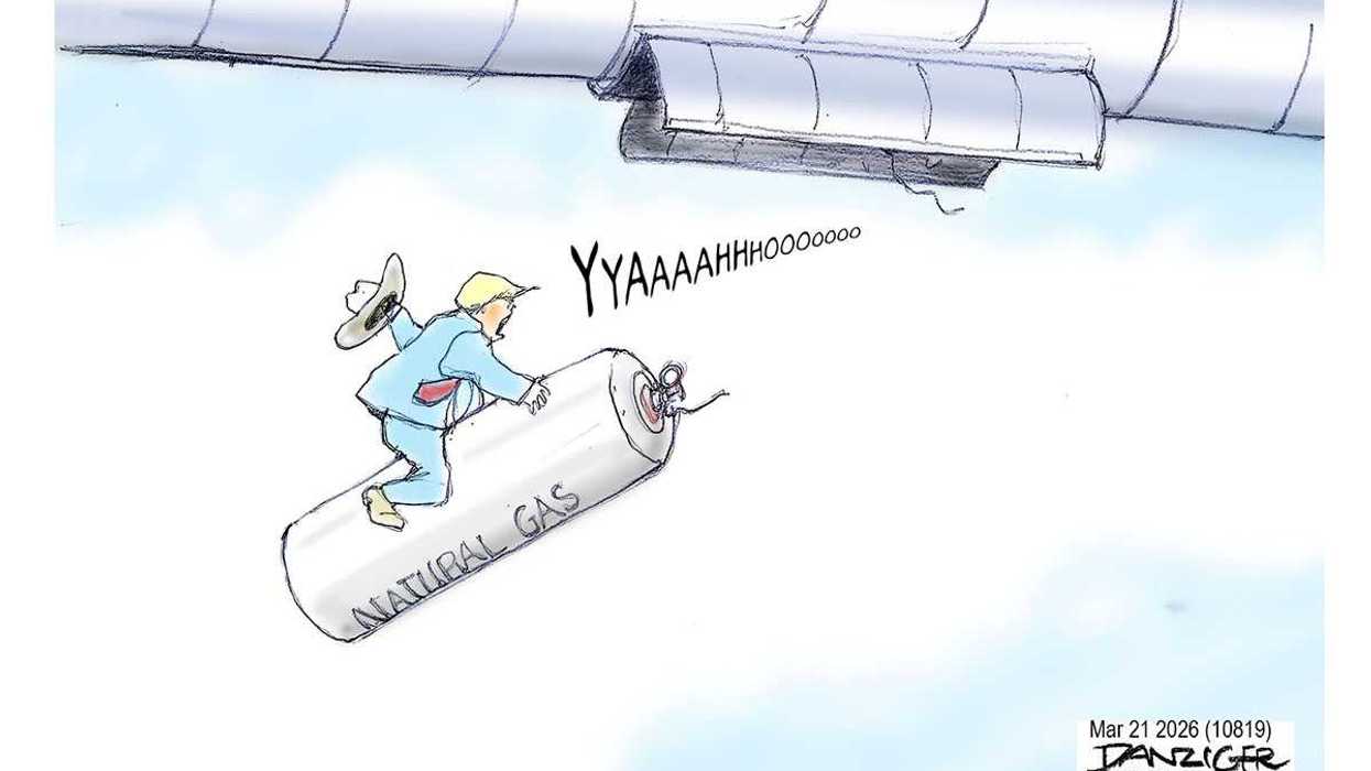 Danziger Draws