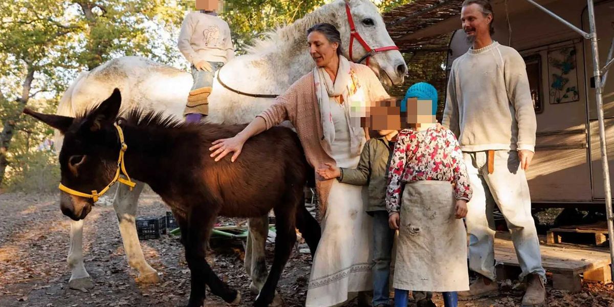 giovent249 criminale dipendente dai social per242 si accaniscono sui bambini del bosco da Laverita.info giovent249 criminale dipendente dai social per242 si accaniscono sui bambini del bosco