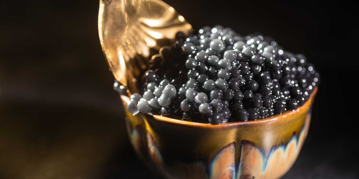 esiste un oro nero che 232 afrodisiaco dai fenici ai russi pazzi per il caviale da Laverita.info esiste un oro nero che 232 afrodisiaco dai fenici ai russi pazzi per il caviale