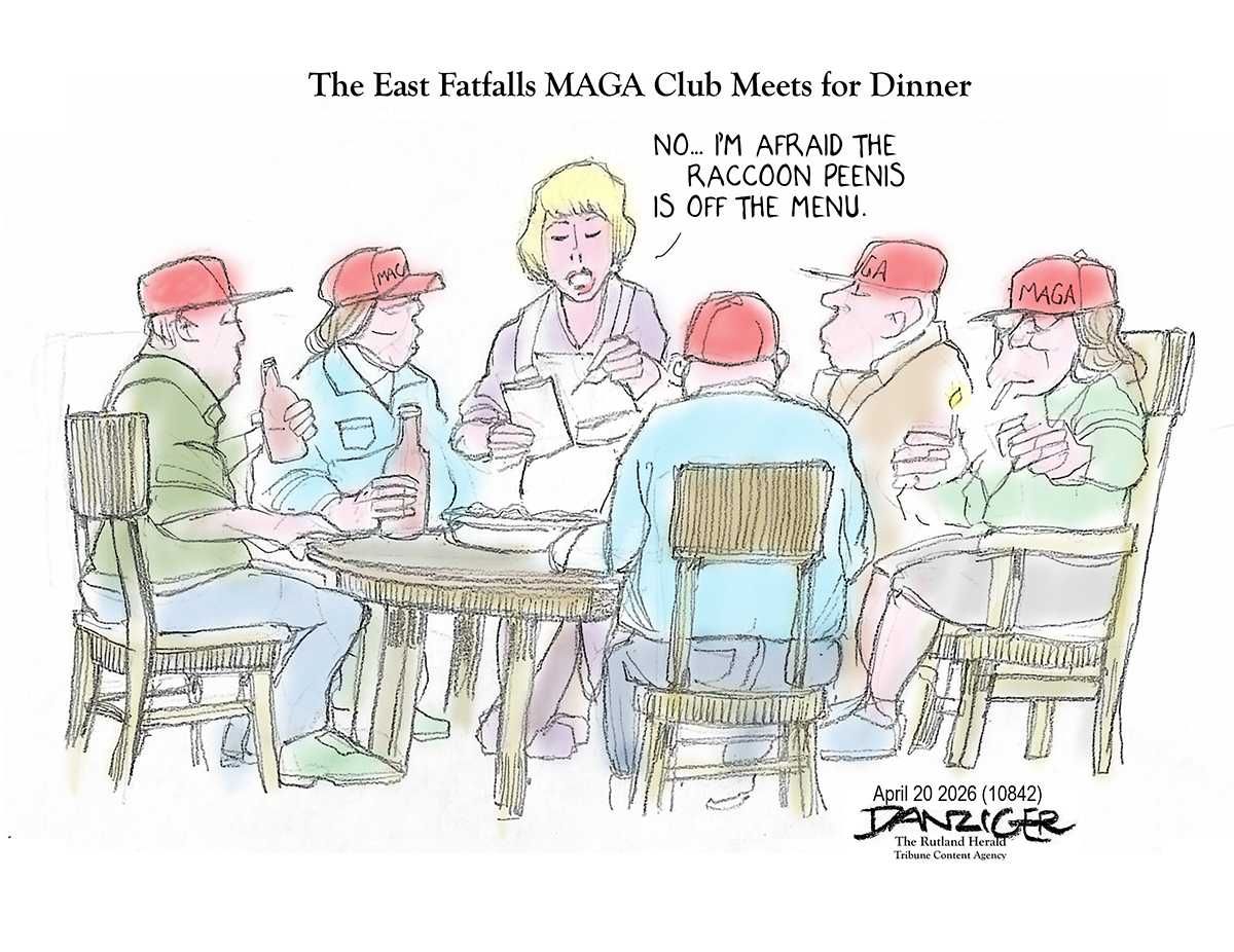 Danziger Draws