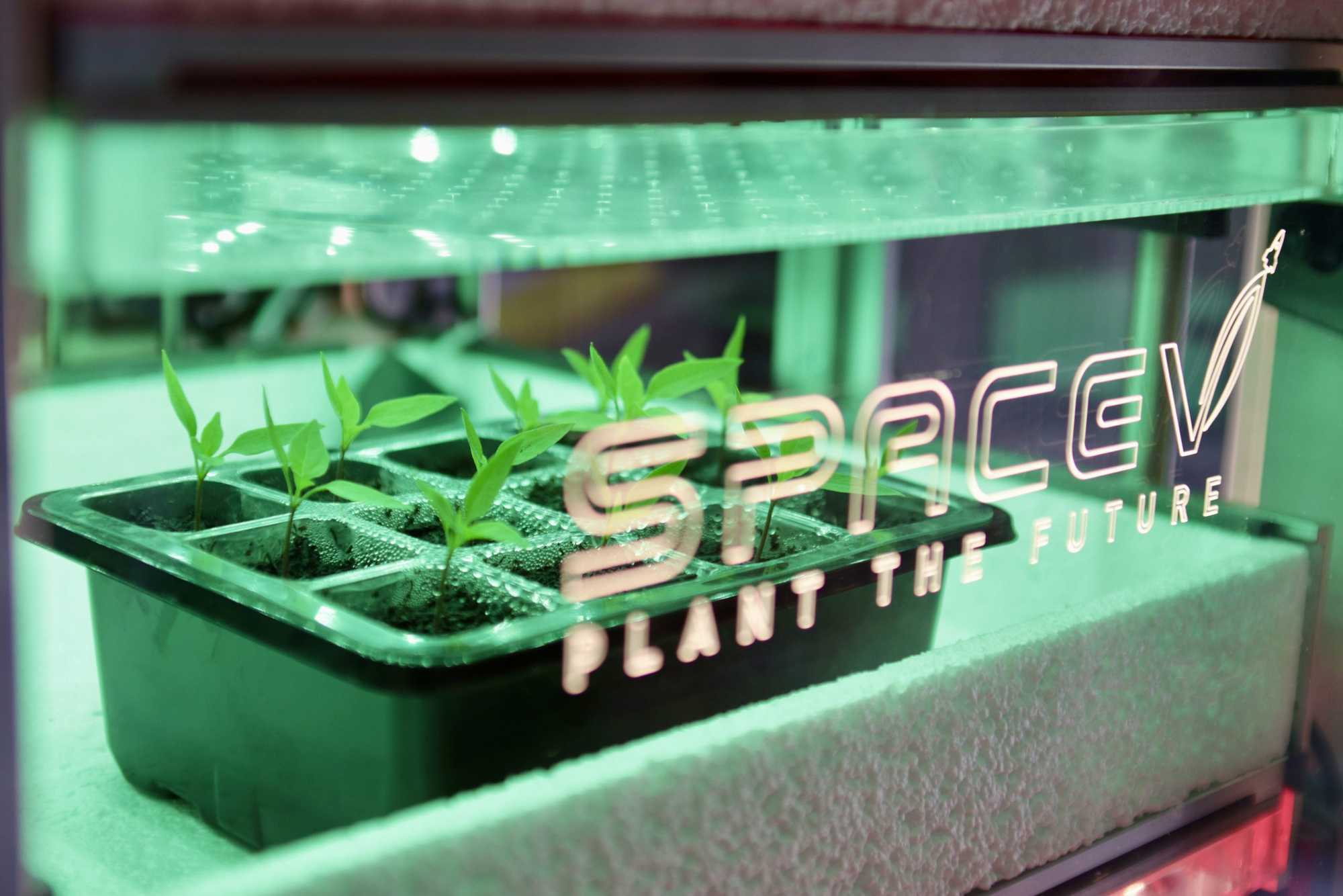 Serra spaziale Made in Italy: il progetto di Franco Malerba