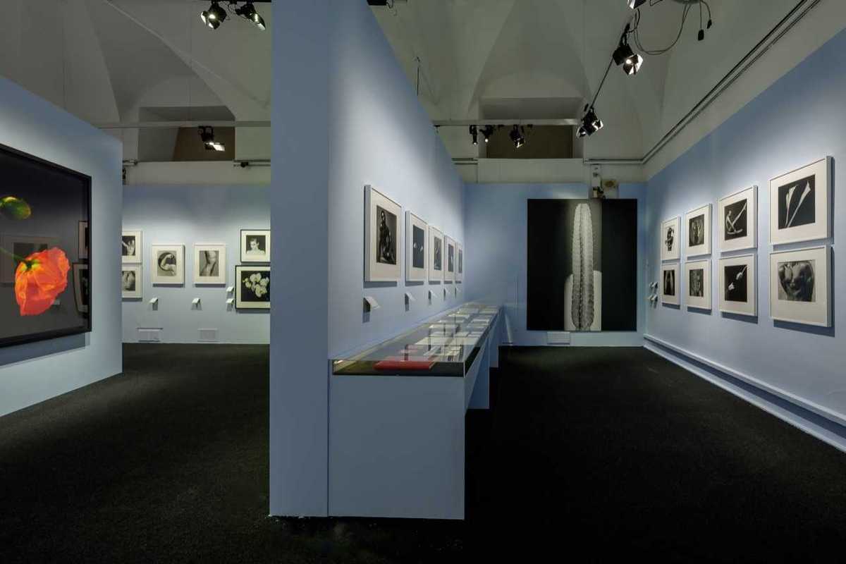 Robert Mapplethorpe in mostra a Palazzo Reale di Milano