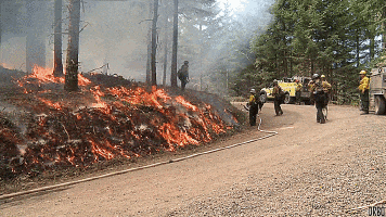 Do You Think Drones Can Be Used To Fight Forest Fires?