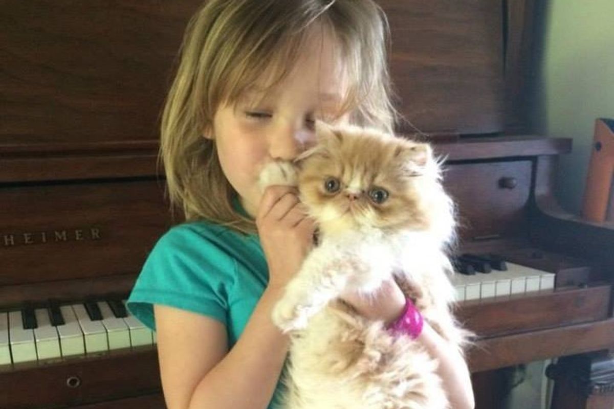 Girl's Love for Her Special Needs Cat Has Sealed the Hole in His Heart