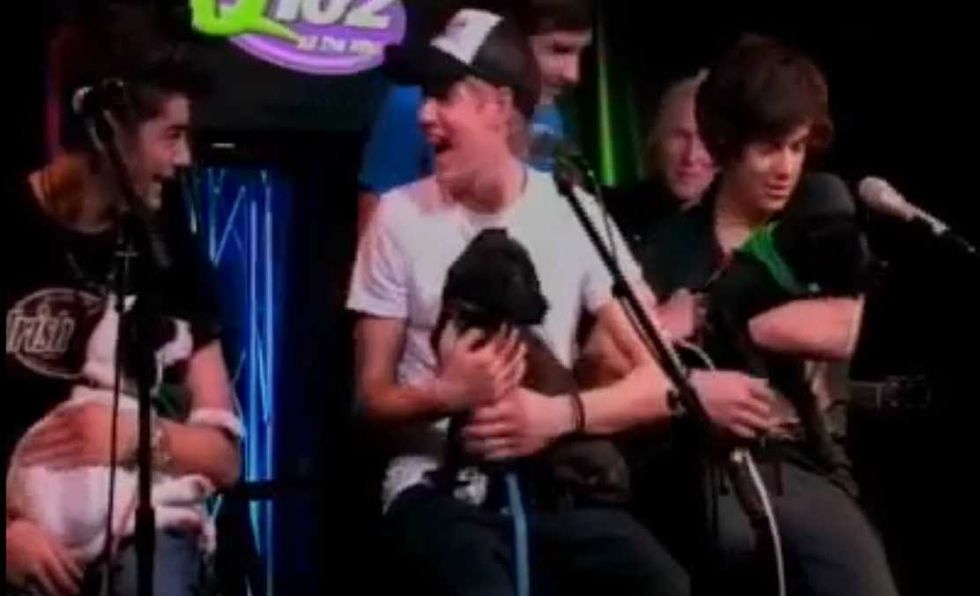 One Direction Even More Adorable When Holding Puppies