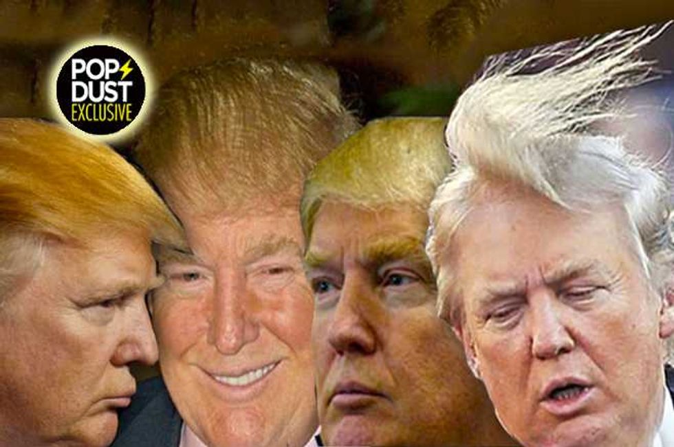 Donald Trump Hair Mystery—Combover, Toupee, Transplant, Follicle Faux Pas?