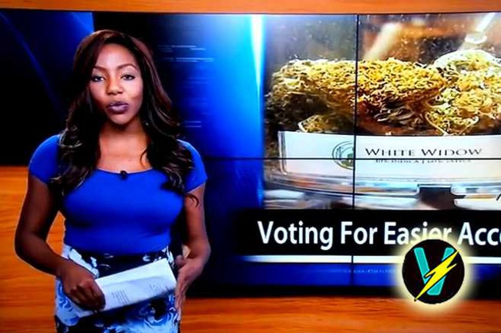 Reporter Reveals She Runs Cannabis Club, Spectacularly Quits Live On Air