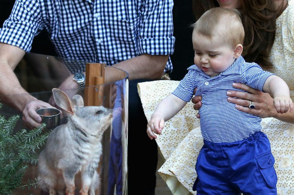 Awwwwww–Prince George Meets His Bilby Namesake!