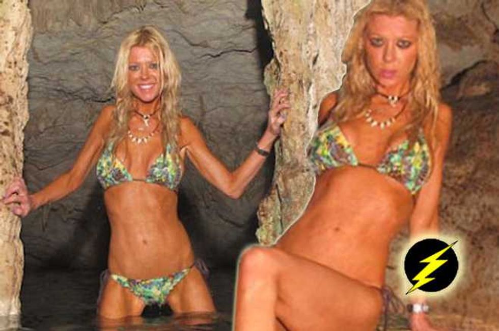 Tara Reid Goes On Photoshop Diet In Bid To Appear Yet Scrawnier