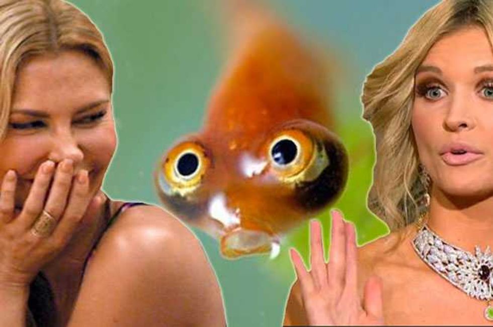 Joanna Krupa Is Suing Brandi Glanville Over Fishy Vagina Comments