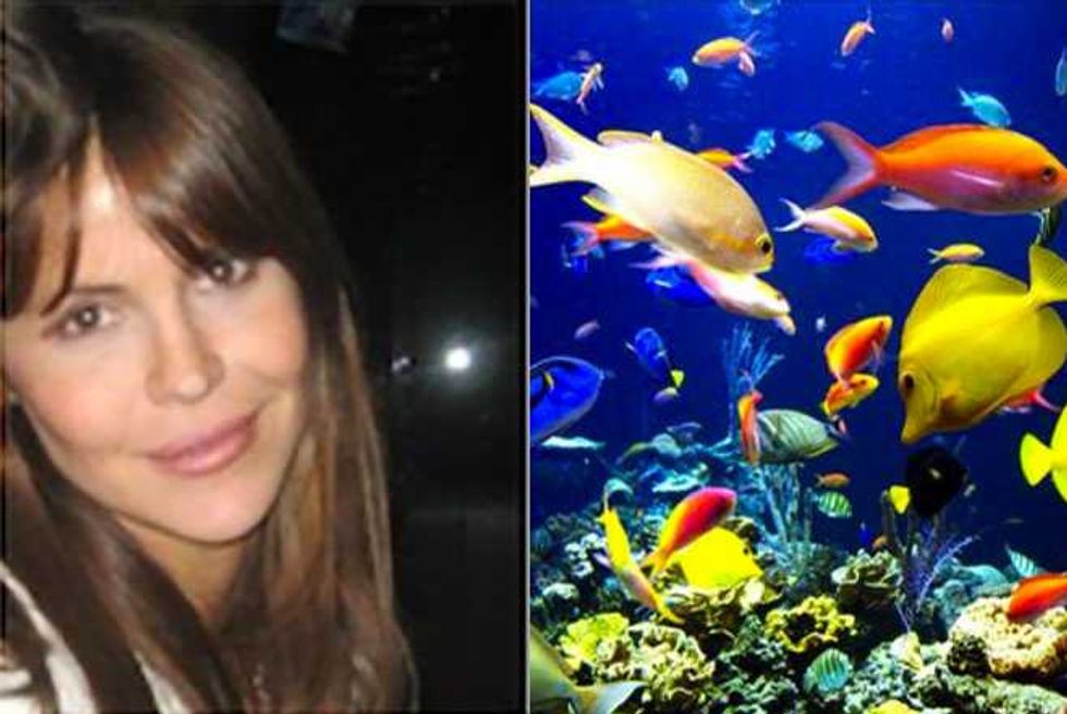 Adventures In Online Dating—Spotlight On Plenty Of Fish