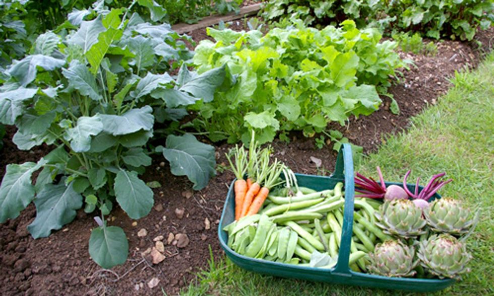 Is Growing Your Own Food the Only Way to Truly Be Vegetarian or Vegan?