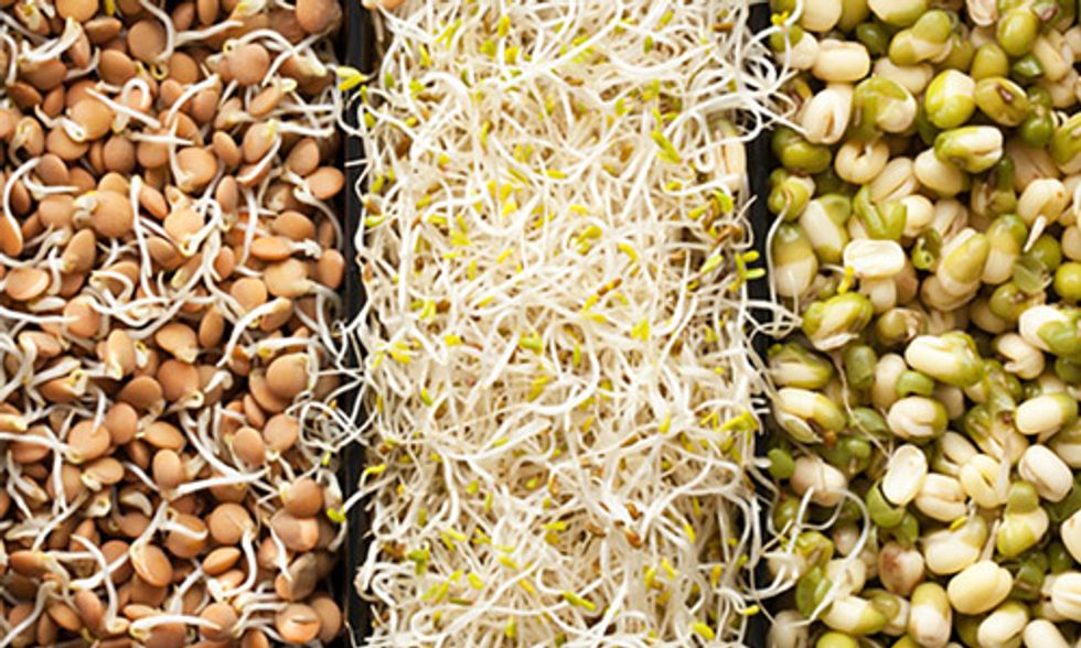 10 Reasons Eating Sprouts Should Be a Part of Your Daily Diet