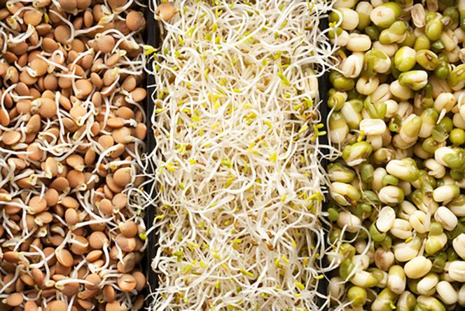 10 Reasons Eating Sprouts Should Be a Part of Your Daily Diet - EcoWatch