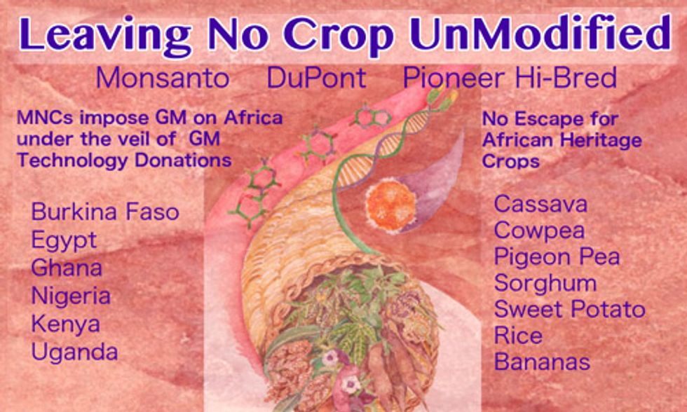 Africa's Traditional Crops Under Threat as Big Ag, Gates Foundation 'Donate' GMO Technology