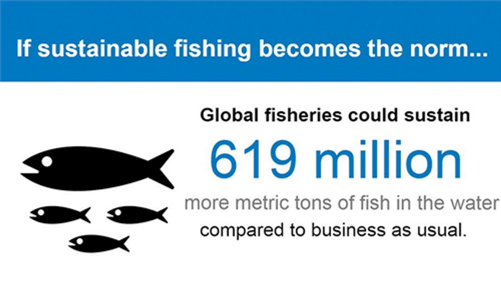 Unlocking the Potential of Sustainable Fishing