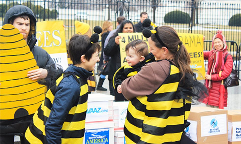 Maryland Just Became the Most Bee-Friendly State in the U.S.
