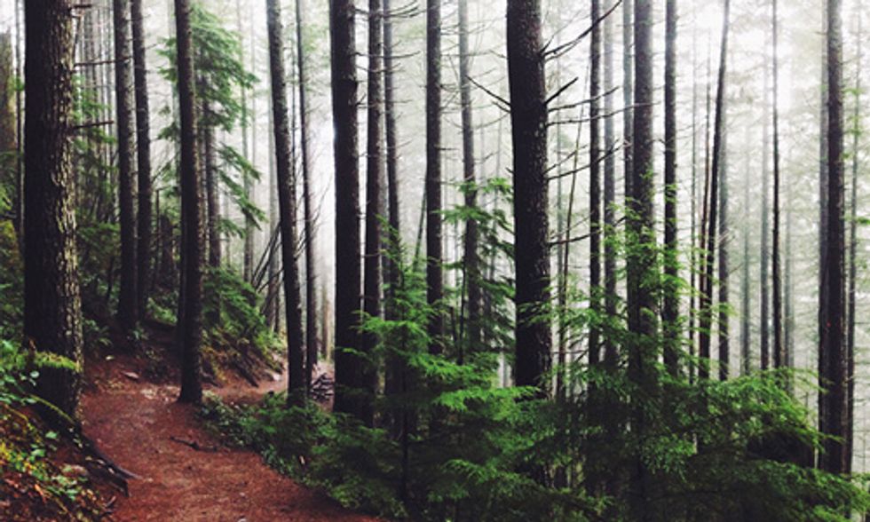David Suzuki: Get Outside!