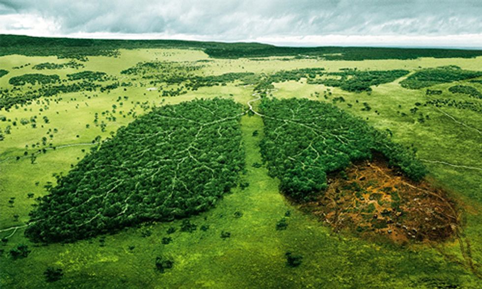 3 Most Environmentally Damaging Habits You Might Be Able to Change
