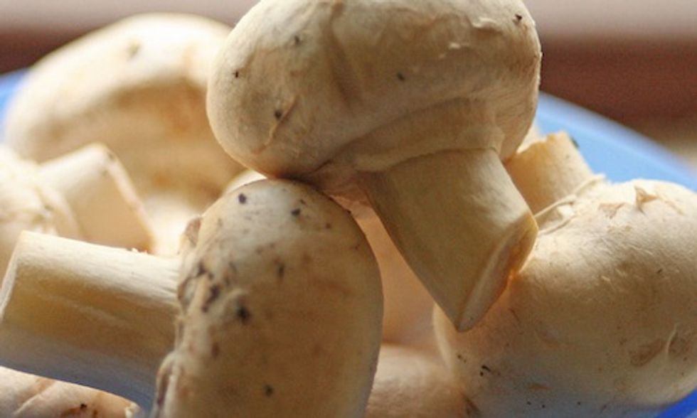 GMO Mushroom Sidesteps USDA Regulations