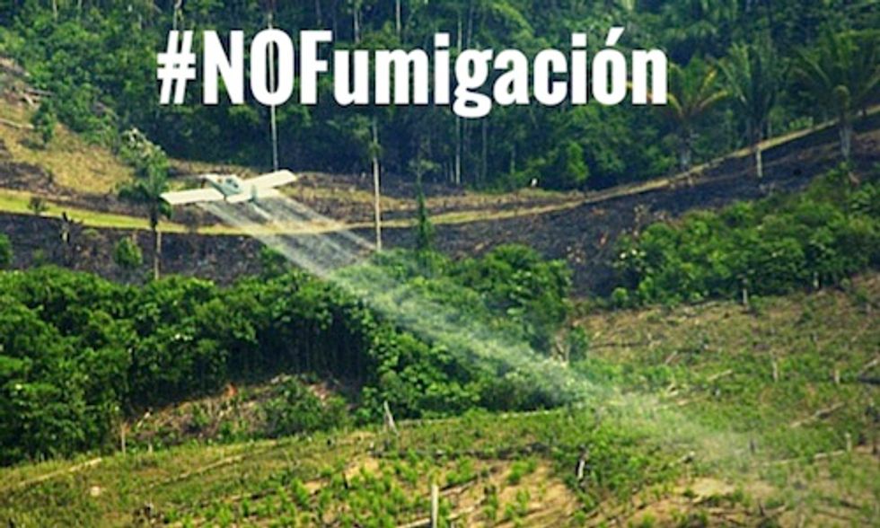 Colombia to Resume Use of Glyphosate in Cocaine Fight