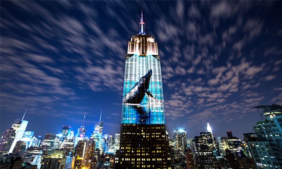 Watch Racing Extinction: It Will Change the Way You View the World