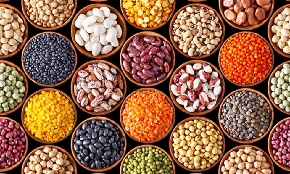 11 Healthy Foods Very High in Iron - EcoWatch