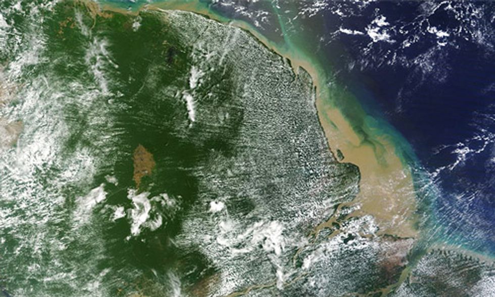 Massive Coral Reef Discovered at Mouth of Amazon, But It’s Already Threatened by Oil Drilling