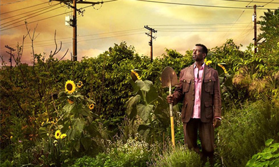 24 Groups Leading the Charge in Cultivating Urban Farming