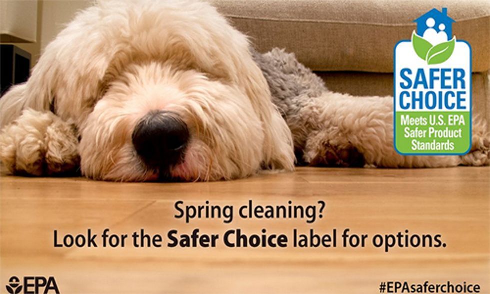 Do Your Household Cleaners Have the EPA's Safer Choice Label?