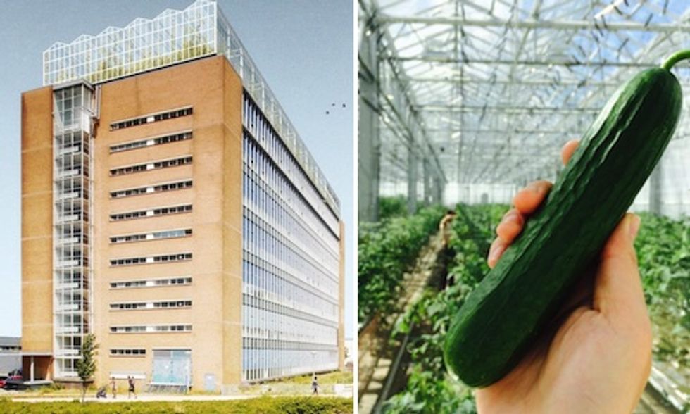 Inside Europe's Largest Urban Farm